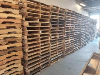 Recycled Pallets & New Pallets Near You Arrange Pallet Haul Offs